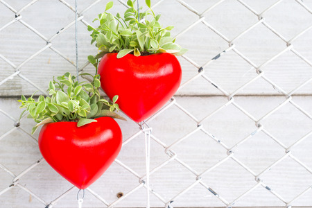 red heart with a green plant are hanging on a fence and white plank backgroundの写真素材