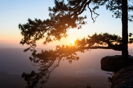 Sunset in the evening silhouette scene at Pha Lom sak on Phu Kradueng National Park, Loei Provinceの写真素材