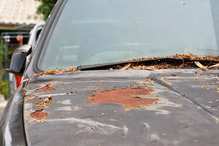 close-up of an old rusty carの写真素材