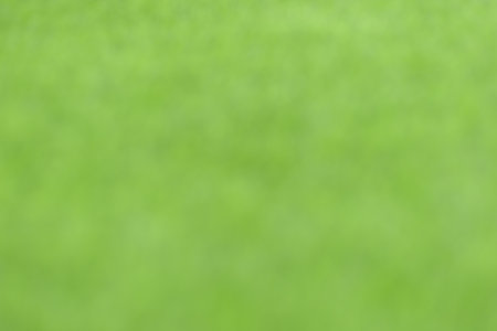 blur green wallpaper design abstract background or backdrop.の写真素材