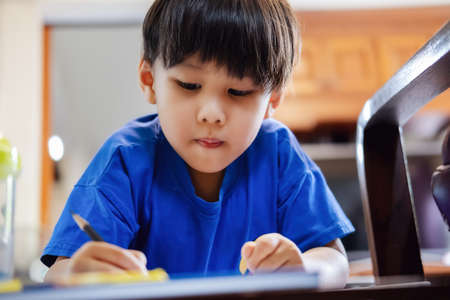 kindergarten children coloring their homework to the teacherの写真素材