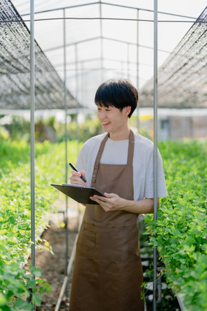 man Farmer harvesting vegetable and audit quality from hydroponics farm. Organic fresh vegetable, Farmer working with hydroponic vegetables garden harvesting, small business conceptsの写真素材