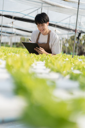 man Farmer harvesting vegetable and audit quality from hydroponics farm. Organic fresh vegetable, Farmer working with hydroponic vegetables garden harvesting, small business conceptsの写真素材
