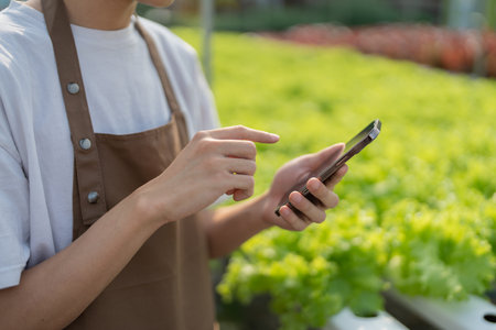 A farmer uses a phone to look at orders from customers, showing joy at harvesting vegetables from hydroponic farms. organic fresh vegetables Farmer working on a hydroponic vegetable gardenの写真素材