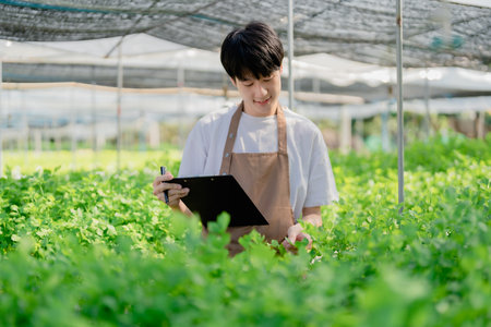 man Farmer harvesting vegetable and audit quality from hydroponics farm. Organic fresh vegetable, Farmer working with hydroponic vegetables garden harvesting, small business conceptsの写真素材