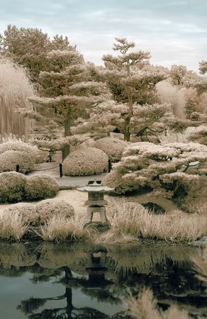Reflections of a Japanese Garden in Infrared.の写真素材