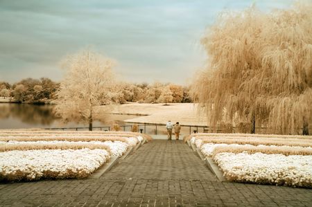 A couple walking in the garden by the lake.の写真素材