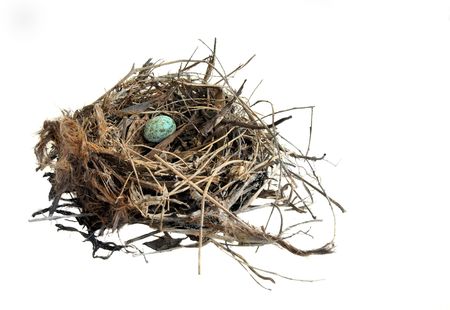 Small blue egg in a nest on a white background.の写真素材