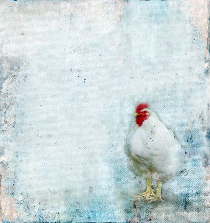 Rooster on a Grunge Background with plenty of copy-space for your text.の写真素材