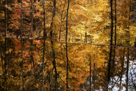 Lake Reflectionsの写真素材