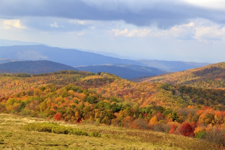 View From Max Patch Bald Mountainの写真素材