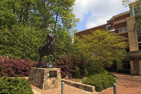 Ramses The Bighorn Ram at Chapel Hillのeditorial素材