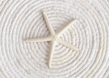 single white starfish on white rope coiled in a circle from aboveの写真素材