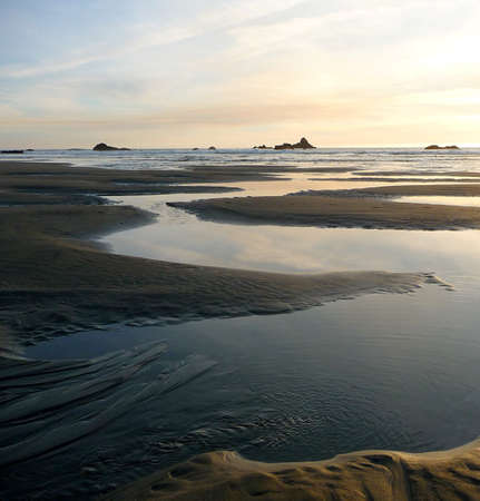 Coastal tidepools meander on the beach at sunset in Oregonの写真素材
