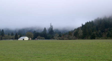 Mist descends on a rural country settingの写真素材