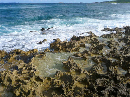Ocean waves wash up on a rocky coral beach on a caribbean island