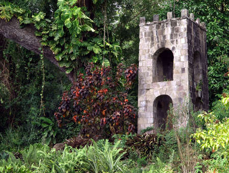 An old stone tower and lush foliage in St. Kittsの写真素材