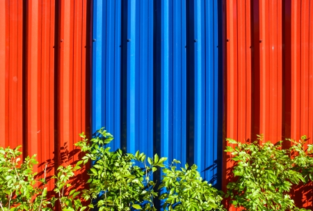 colourful galvanized steel wall and green plant pattern detailの写真素材
