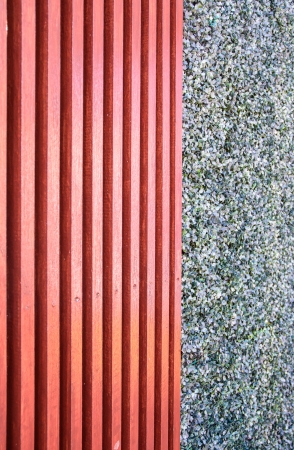 many red wood pattern and white leaf backgroundの写真素材