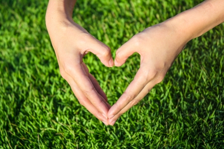 young girl hand make heart by hand on grass backgroundの写真素材