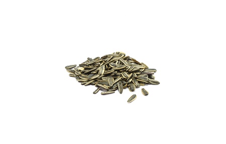 many sunflower seed isolated on white backgroundの写真素材