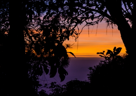 silhouette of many high tree on sunset evening at mountain thailandの写真素材
