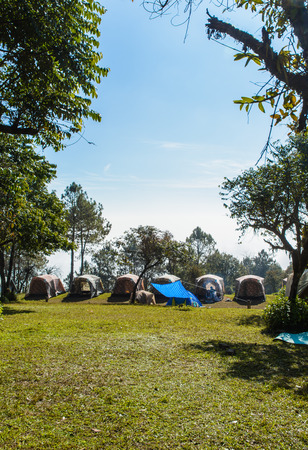 lot of Camping tents on the mountain thailand of sunrise outdoors morningの写真素材