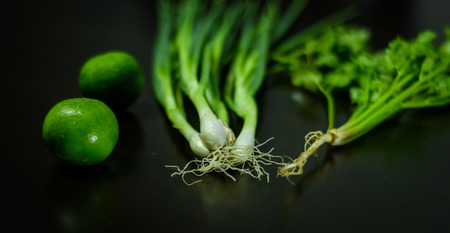 close up Spring onion and lemon with parsley vegetable for asia style cook on wood tableの写真素材