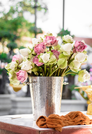 small lotus plant in stainless steel bucket, at outdoor templeの写真素材