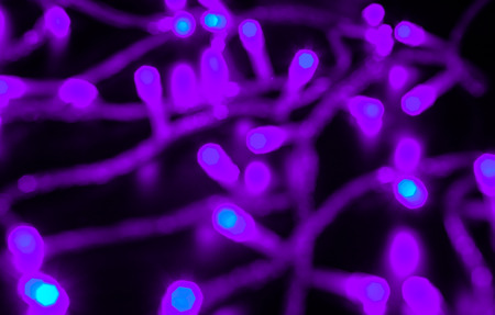 abstract small Bokeh lights. Beautiful background patternの写真素材