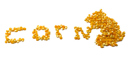 Golden corn seeds make word letter isolated on white backgroundの写真素材