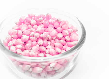 abstract pink color corn seeds in  dishware vibrant color filter with  on white for background patternの写真素材