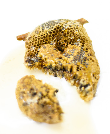 sweet Honeycomb with honey water drink on white pattern for backgroundの写真素材