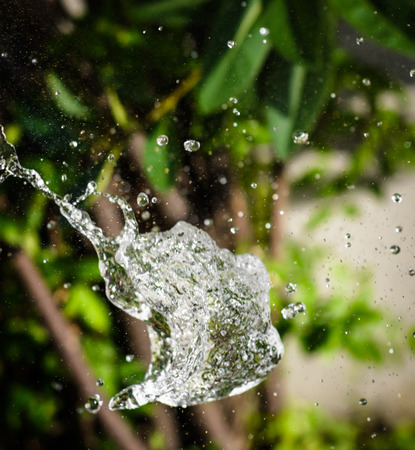 abstract water splash on natural outdoor backgroundの写真素材