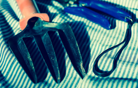 Small hand garden fork and shears on fabric with retro filter. at  sunriseの写真素材