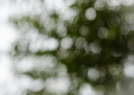 natural outdoor blur with bokeh light for background patternの写真素材