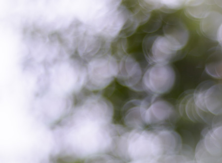 natural outdoor with bokeh light for background patternの写真素材