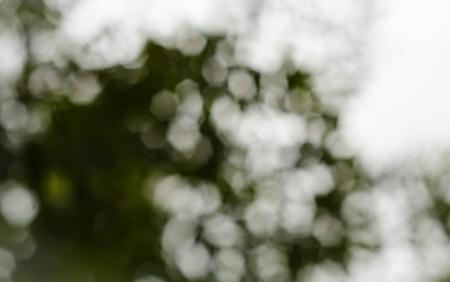 natural outdoor blur with bokeh light for background patternの写真素材