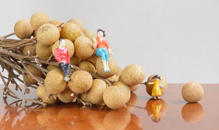 Longan (Dimocarpus longan.) and miniature family people concept fruitの写真素材