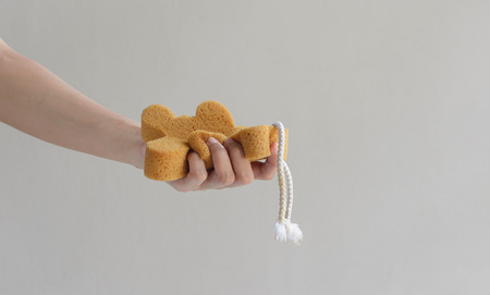 sponge bath in a woman hand on a wall の写真素材