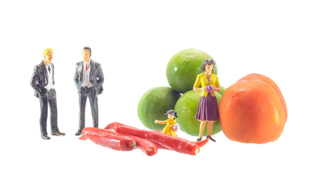 vegetable tomatoes, lemon and pepper with business and family miniature isolated on whiteの写真素材