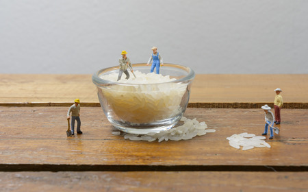 Miniature worker man working together about rice seed