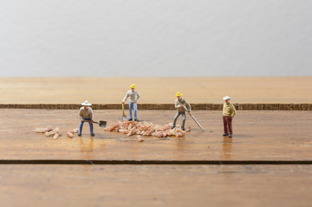 Miniature worker man working about color rice seed