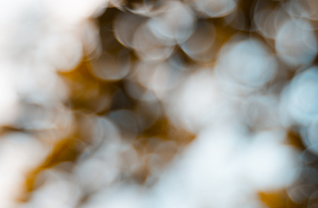 Natural outdoors bokeh pattern for backgroundの写真素材