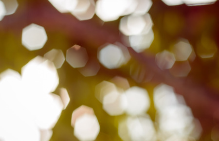 Natural outdoors light bokeh for pattern backgroundの写真素材