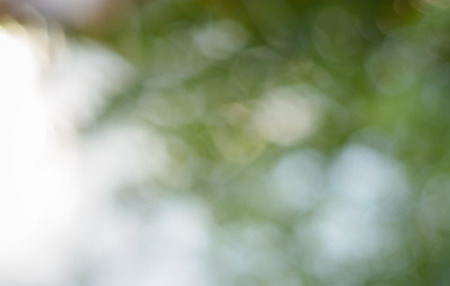 Natural light bokeh outdoor for pattern backgroundの写真素材