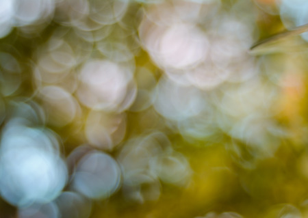 Natural light bokeh outdoor for pattern backgroundの写真素材