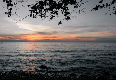 sea scape summer and tree of koh chang Islands in Thailand with retro filterの写真素材
