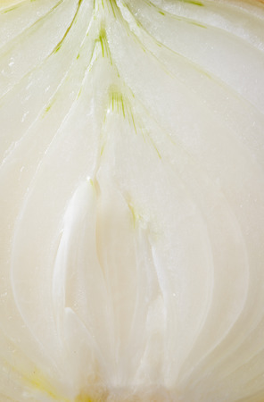close up white onion slices patternの写真素材