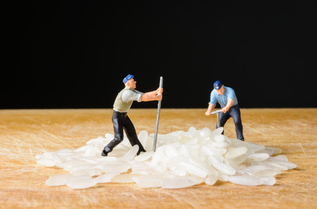 close up Miniature worker man with rice seed foodの写真素材